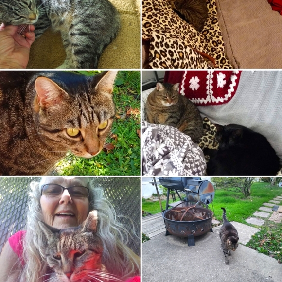 Meet your Posher, Catmam58 - Picture 4 of 16